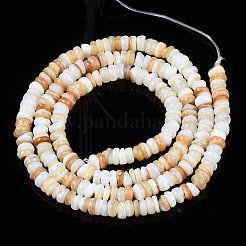 Natural Freshwater Shell Beads Strands&nbsp;SHEL-S278-067