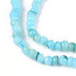 Natural Freshwater Shell Dyed Beads Strands&nbsp;SHEL-T020-29B-02