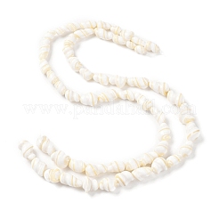 Natural Shell Beads Strands&nbsp;BSHE-D020-01