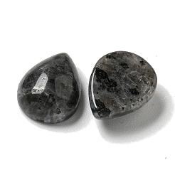 Natural Larvikite Cabochons&nbsp;G-Q173-02C-05