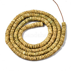 Natural Sea Shell Beads Strands&nbsp;SSHEL-N032-22
