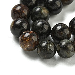 Natural Phlogopite Beads Strands&nbsp;G-P546-A01-03