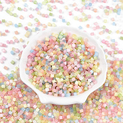 6/0 Transparent Colours Glass Seed Beads&nbsp;SEED-N007-22A
