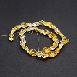 Natural Citrine Bead Strands&nbsp;G-J280-05