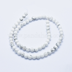 Natural Howlite Beads Strands&nbsp;G-P353-01-6mm