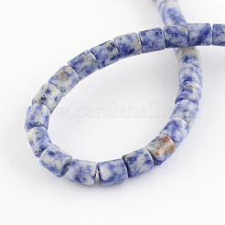 Natural Blue Spot Jasper Bead Strands&nbsp;X-G-R187-06