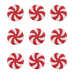 Acrylic Beads&nbsp;LS-OACR-CJC0004-02