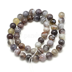 Natural Botswana Agate Beads Strands&nbsp;X-G-S150-24-8mm
