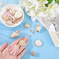 20Pcs 10 Styles Electroplated Natural Mixed Shell Pendants&nbsp;SHEL-SC0002-06