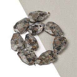 Natural Syenite Beads Strands&nbsp;G-P548-B26-01