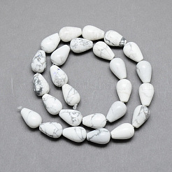 Natural Howlite Gemstone Bead Strands&nbsp;X-G-T004-19