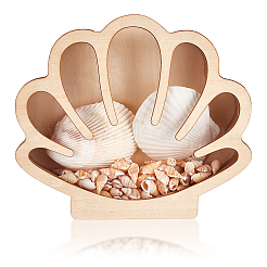 Shell Shaped Wooden Sea Shell Storage Display Cases with Visible Window&nbsp;ODIS-WH20012-01