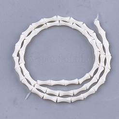 Freshwater Shell Beads Strands&nbsp;X-SHEL-T012-48