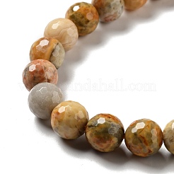 Natural Crazy Lace Agate Beads Strands&nbsp;G-E571-36C