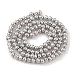 Electroplated Shell Pearl Beads Strands&nbsp;BSHE-C006-05C-X