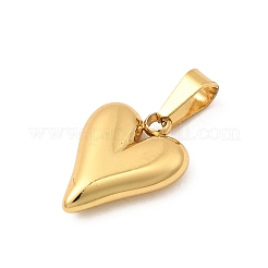 304 Stainless Steel Pendants&nbsp;STAS-C163-02B-G