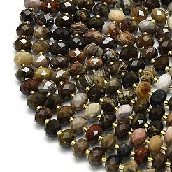 Natural Petrified Wood Beads Strands&nbsp;G-P573-A32-01