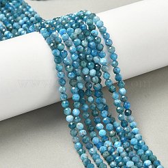 Natural Apatite Beads Strands&nbsp;LS-G-N342-34-01
