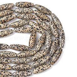 Natural Dalmatian Jasper Beads Strands&nbsp;G-L654-G04-01