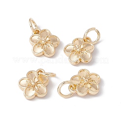 Rack Plating Alloy Charms&nbsp;X-FIND-G036-02LG