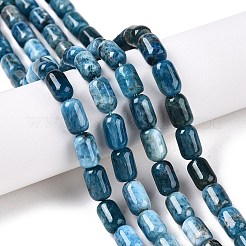 Natural Apatite Beads Strands&nbsp;G-G980-51B