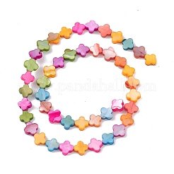 10 Strands Colorful Natural Freshwater Shell Dyed Beads Strands&nbsp;SHEL-M018-03