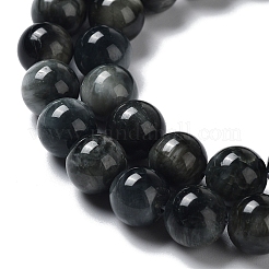 Natura Hawk's Eye Beads Strands&nbsp;G-D0001-22B-8mm-01