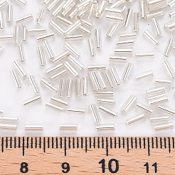 Plated Glass Bugle Beads&nbsp;SEED-S046-01A-21