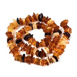 Natural Amber Beads Strands&nbsp;G-N371-22A-01