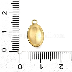 304 Stainless Steel Charms&nbsp;STAS-Z163-15G