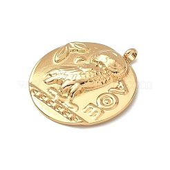 304 Stainless Steel Coin Pendants&nbsp;STAS-K252-19G