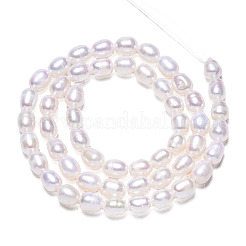 Natural Cultured Freshwater Pearl Beads Strands&nbsp;PEAR-N012-05I