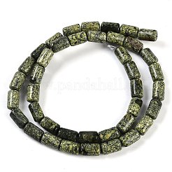 Natural Serpentine/Green Lace Stone Beads Strands&nbsp;G-H064-B01-01