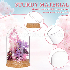 Glass Dome Cover&nbsp;AJEW-WH0165-40D
