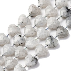 Natural Labradorite Beads Strands&nbsp;G-P570-E18-01