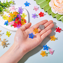 48Pcs 12 Styles Frosted Acrylic Pendants&nbsp;PALLOY-TA0002-52