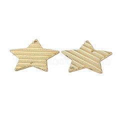 Ion Plating(IP) 304 Stainless Steel Connector Charms&nbsp;LS-STAS-C066-07G