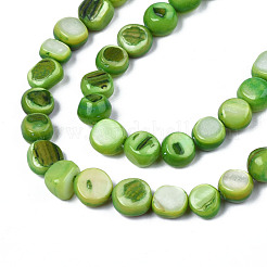 Natural Trochid Shell/Trochus Shell Beads Strands&nbsp;SHEL-S258-083-B05