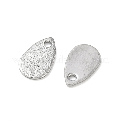 304 Stainless Steel Charms&nbsp;STAS-G393-05P-01