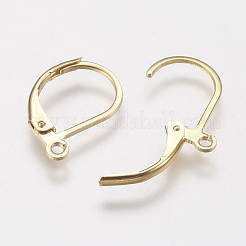 304 Stainless Steel Leverback Earring Findings&nbsp;X-STAS-F141-03G