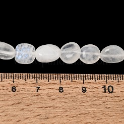 Grade A Natural Rainbow Moonstone Beads Strands&nbsp;GG-CBADF20-B12-B