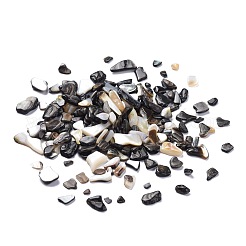 Natural Black Lip Shell Beads&nbsp;SSHEL-K026-02A