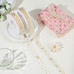 Polyester Ribbons&nbsp;OCOR-WH0120-45B