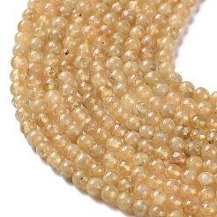 Natural Yellow Garnet Beads Strands&nbsp;G-Z129-C01-4mm-01
