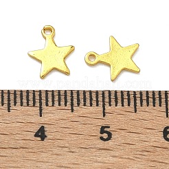 Alloy Pendants&nbsp;PALLOY-F321-01B-G