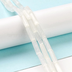 Natural Selenite Beads Strands&nbsp;G-K336-01