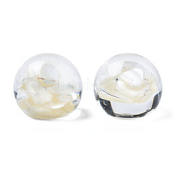 Transparent Acrylic Cabochons&nbsp;TACR-N006-77C-02
