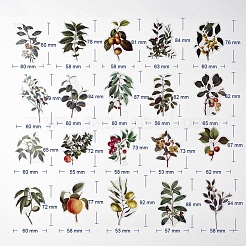 Plant Theme Waterproof Self Adhesive Stamping Stickers Sets&nbsp;DIY-WH0163-08B