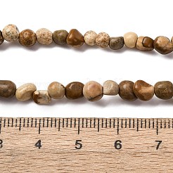 Natural Picture Jasper Beads Strands&nbsp;G-I389-A10