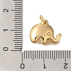 Brass Pendants&nbsp;KK-K388-51G